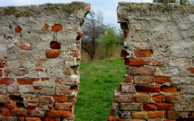Looking Ahead: Repairers of The Breach
