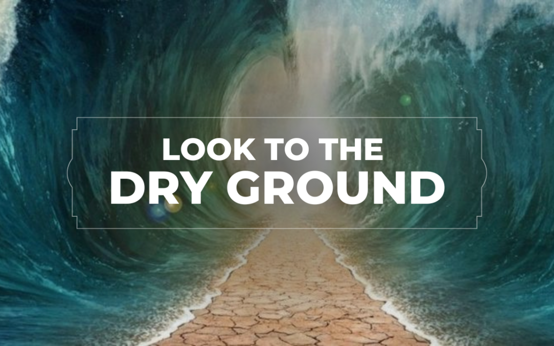 Look to the Dry Ground
