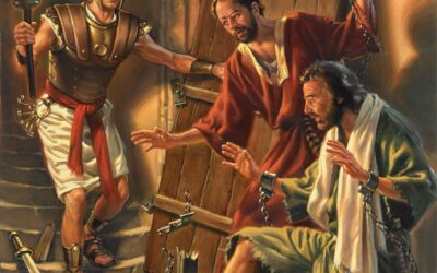 An Emergence of the Faithful Ones